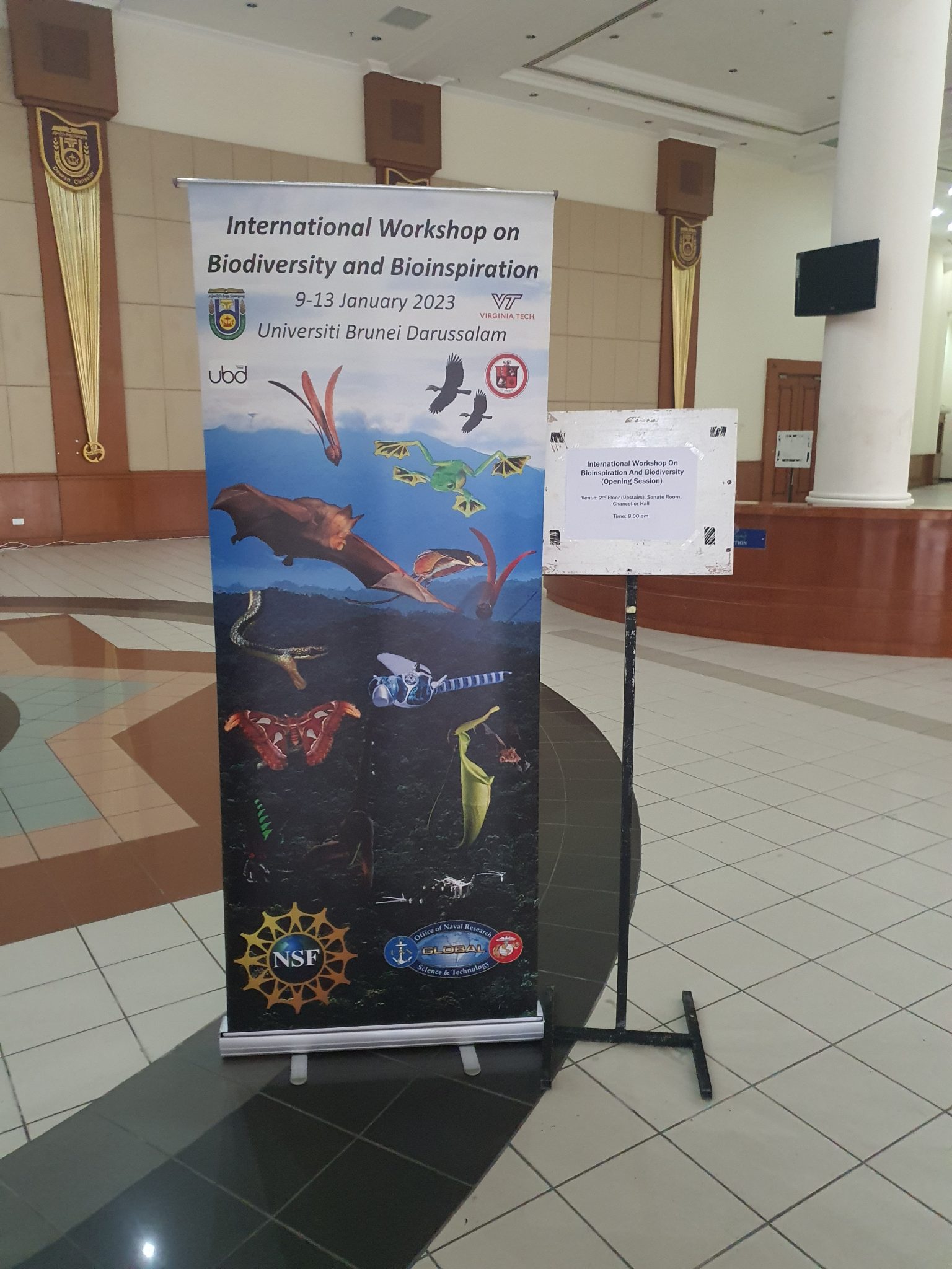 Beng explaining the biosonar of the batbot